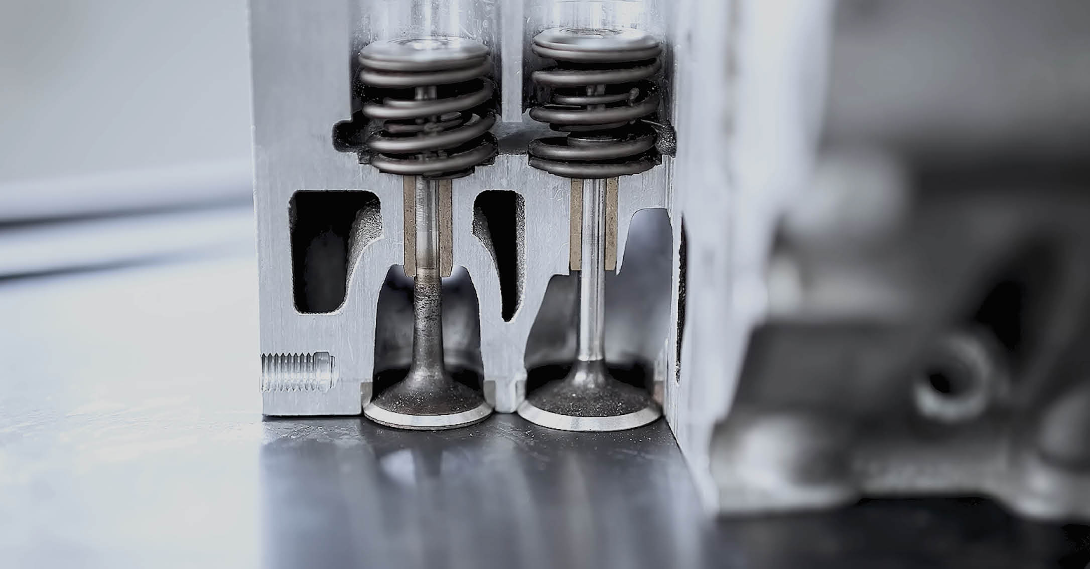 valve springs and valves in the engine